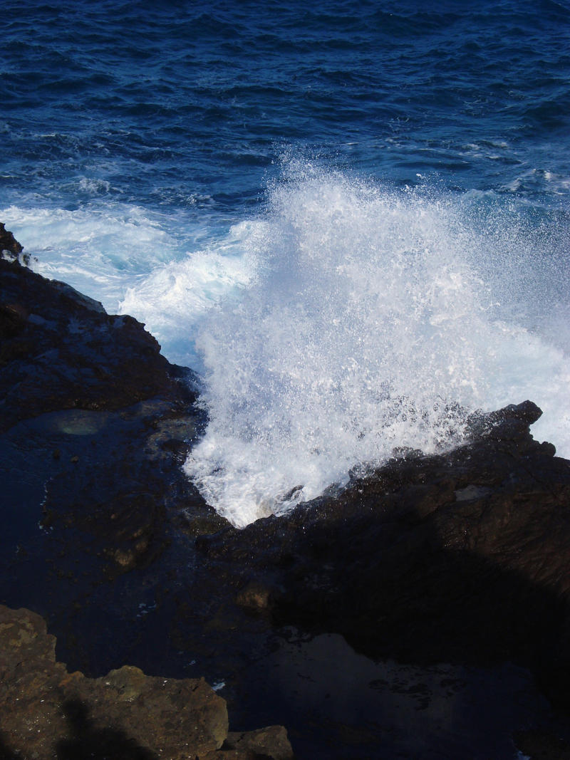 Blowhole