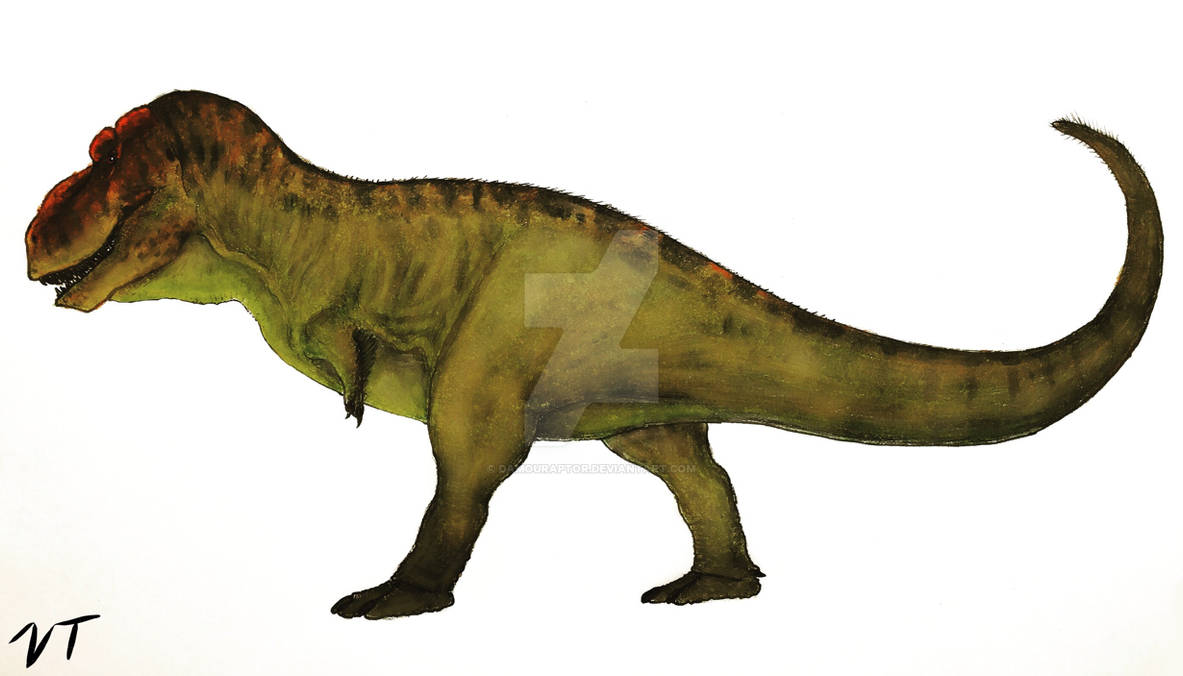 Happy (Belated) Birthday Cato! by damouraptor on DeviantArt