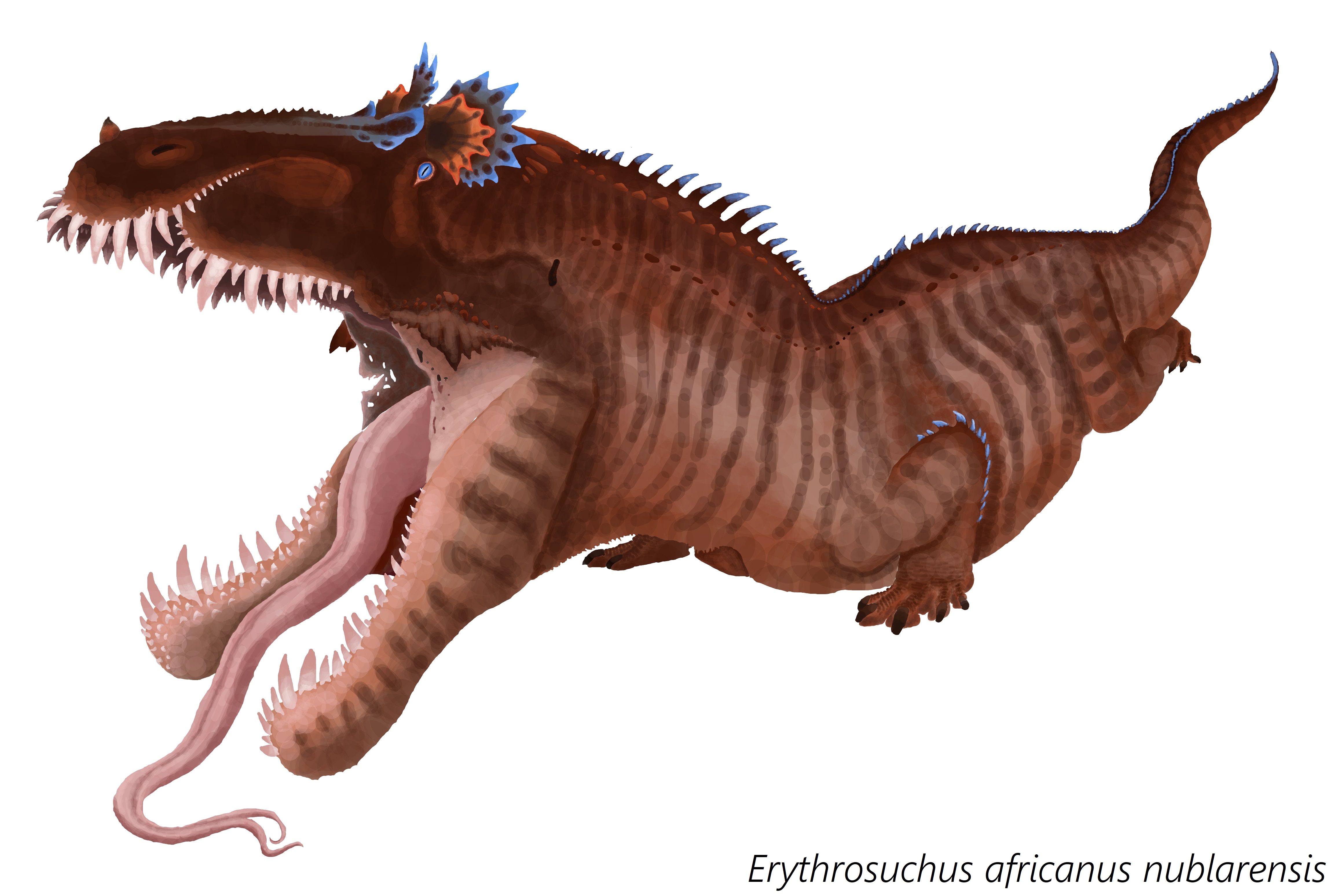 Mutant Erythrosuchus By Damouraptor On DeviantArt mutant-erythrosuchus-by-damouraptor-on-deviantart