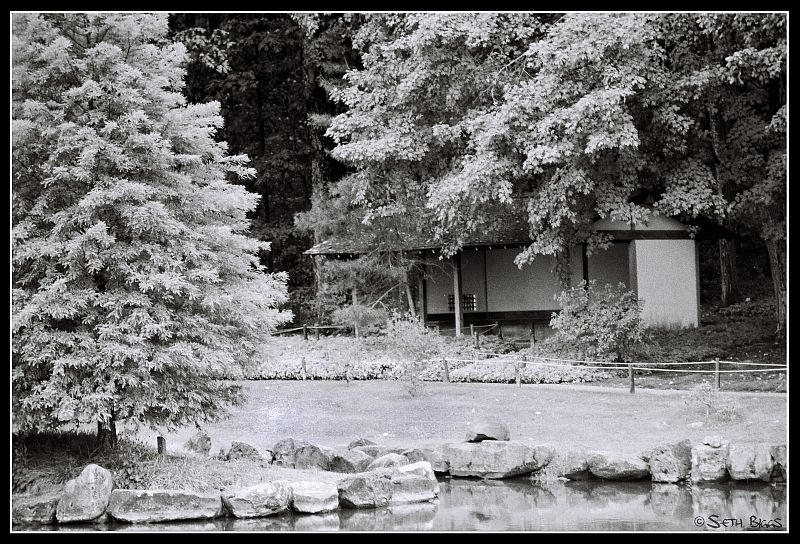 Garden Shelter