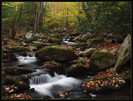 Roaring Fork Motor Trail