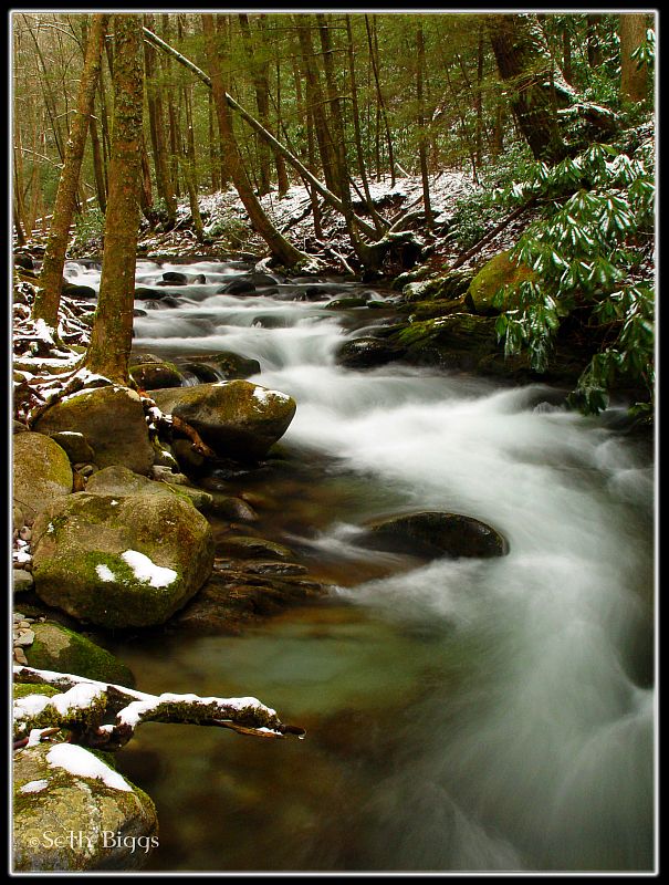 Snowy Stream