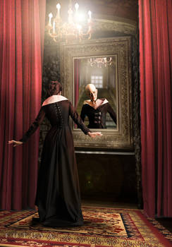 Mirror reflection