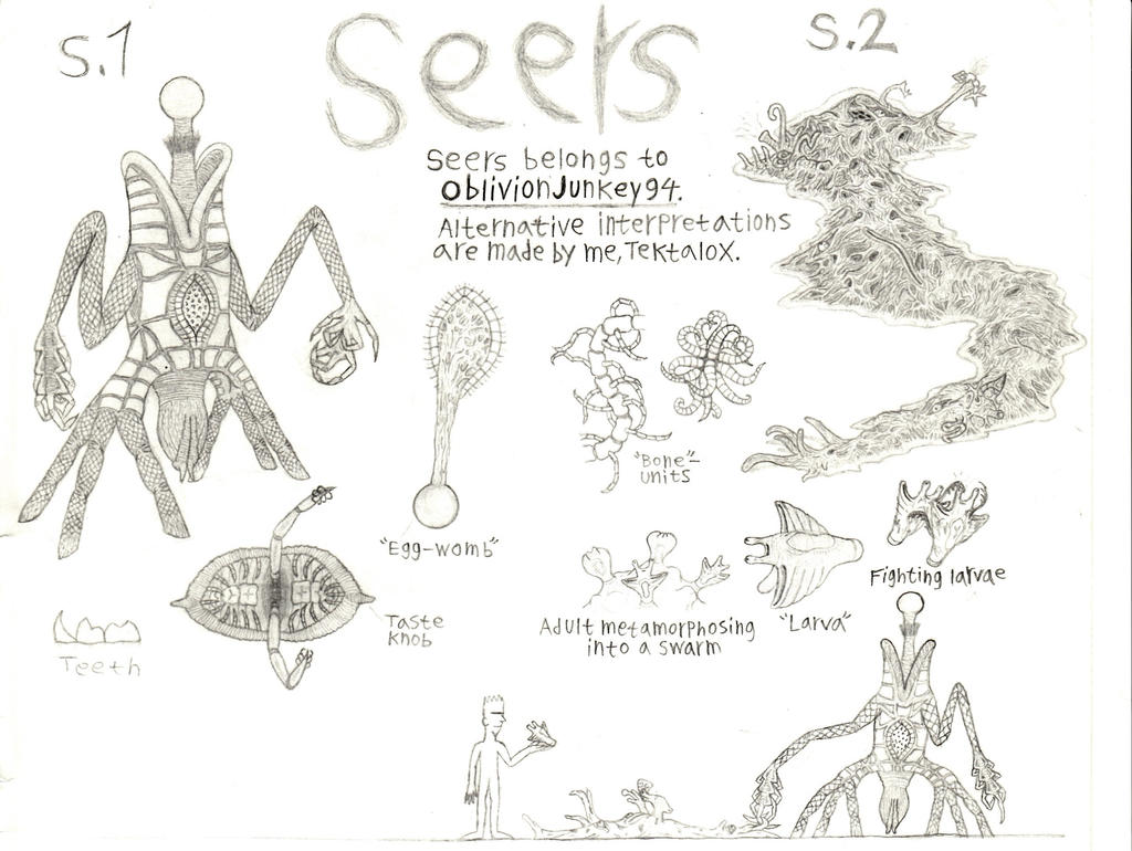 Half the Seer Designs