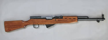 SKS Simonov 1:1