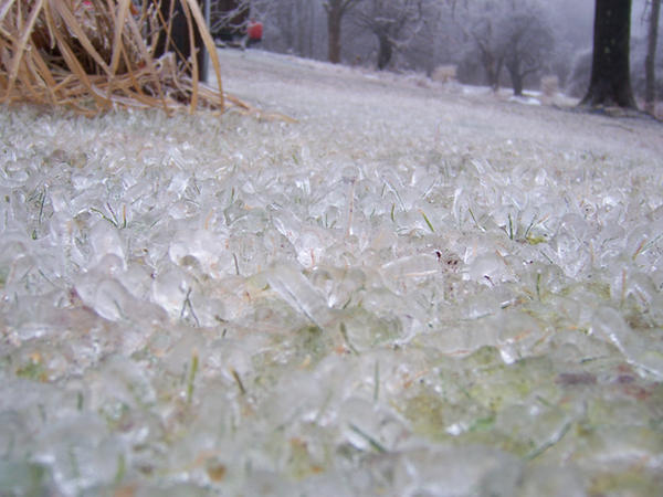 All Ice All Ice by blackdaisy6 on DeviantArt