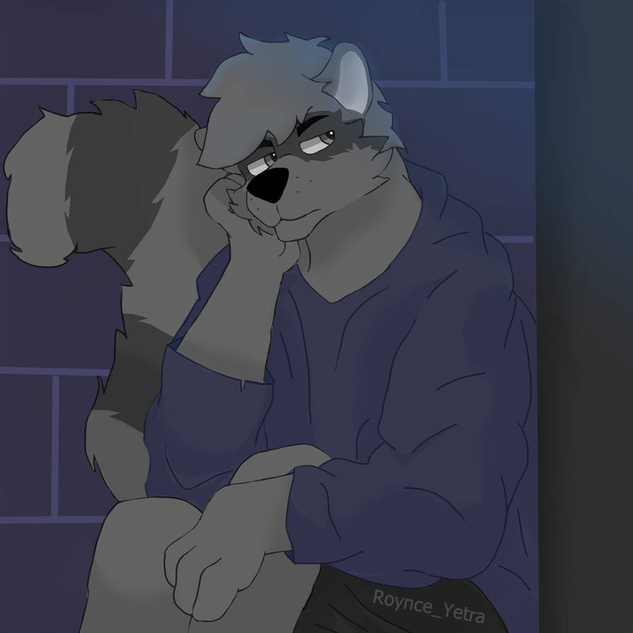 Raccon by Roynce on DeviantArt