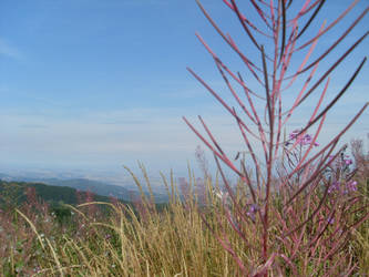 View from Vitosha