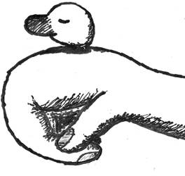 hand duck