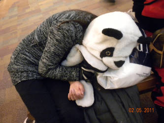 I Love My Panda Hat..