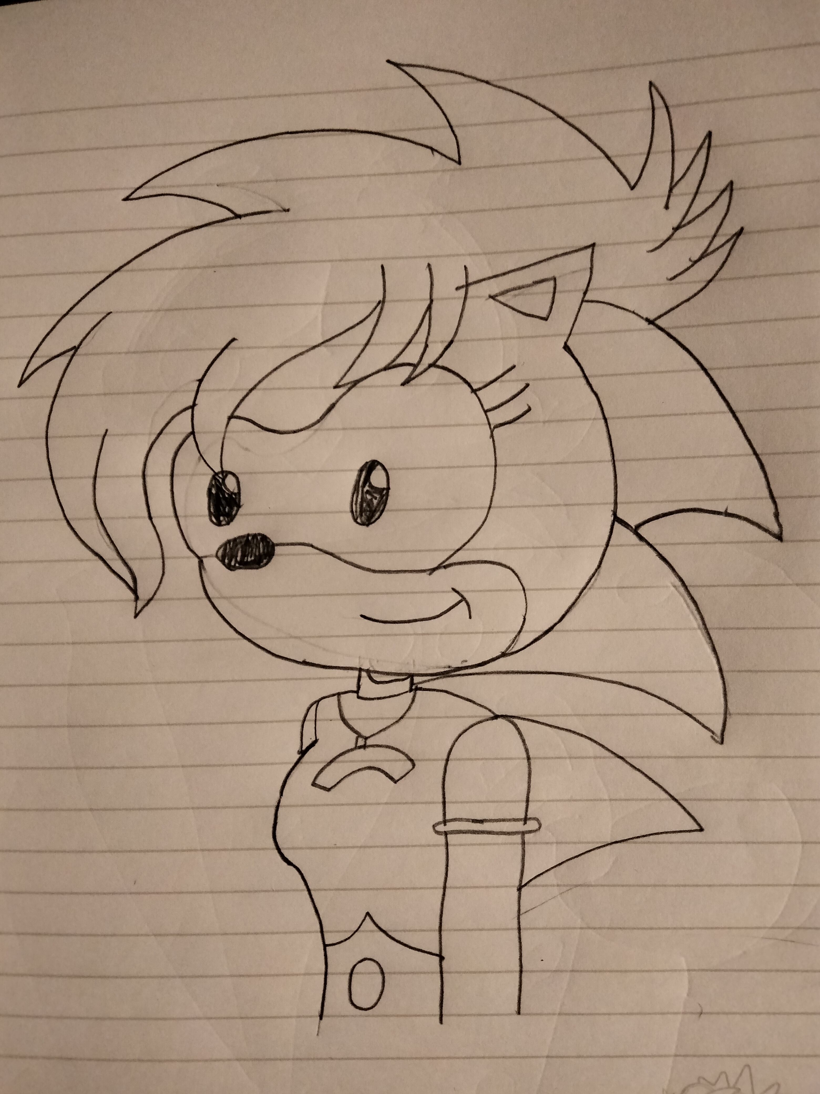 Is Amy rose in sonic 3 by aliciamartin851 on DeviantArt