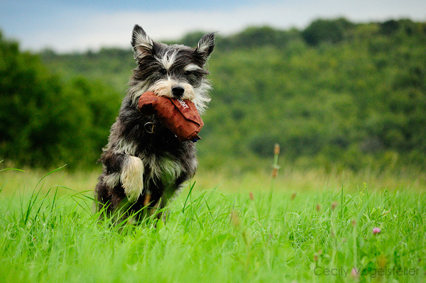 Oskar having fun!