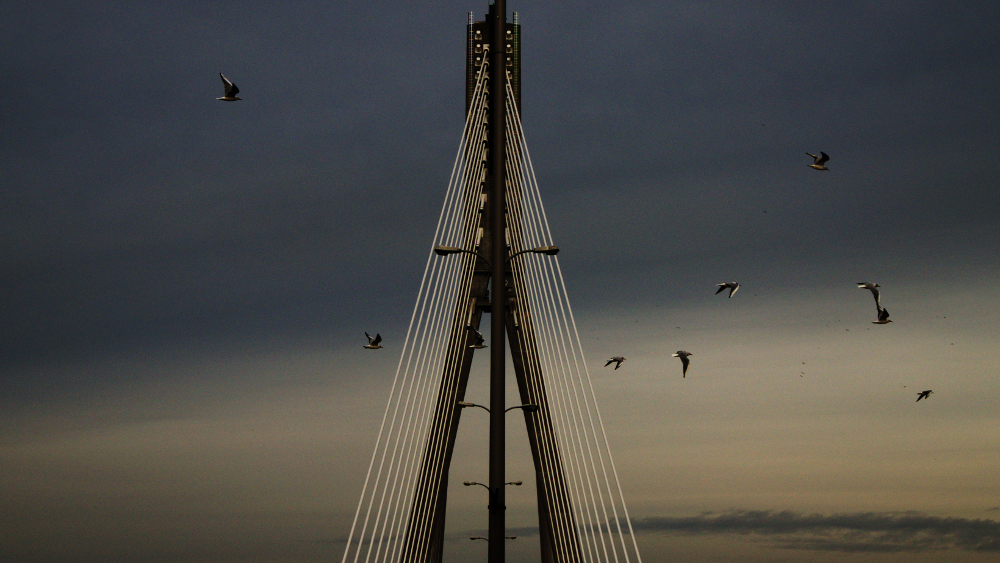 Swietokrzyski bridge