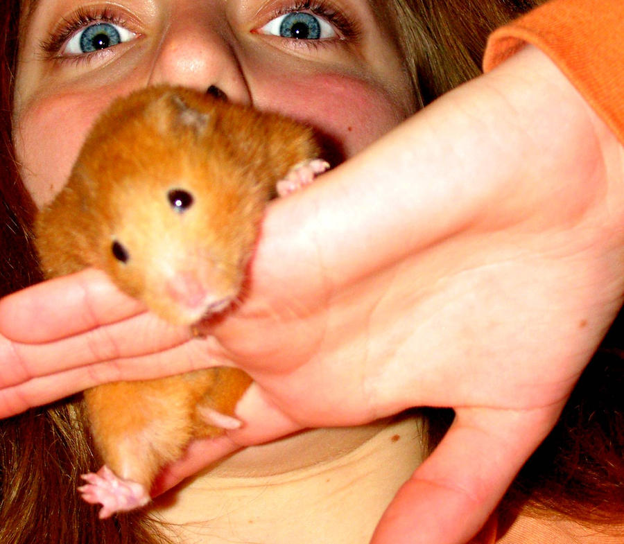 Hamster Attack. by rkieda on DeviantArt