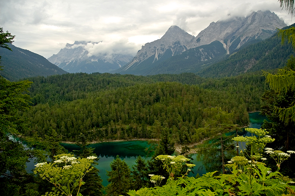 Looking into Austria