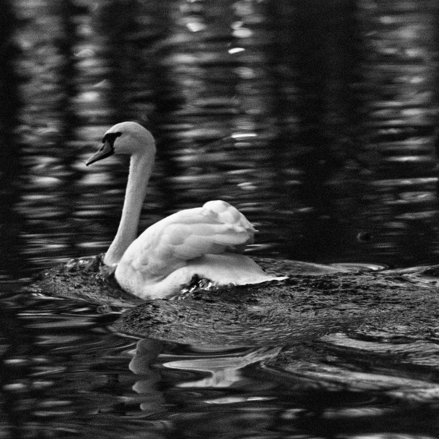 Sailing Alone