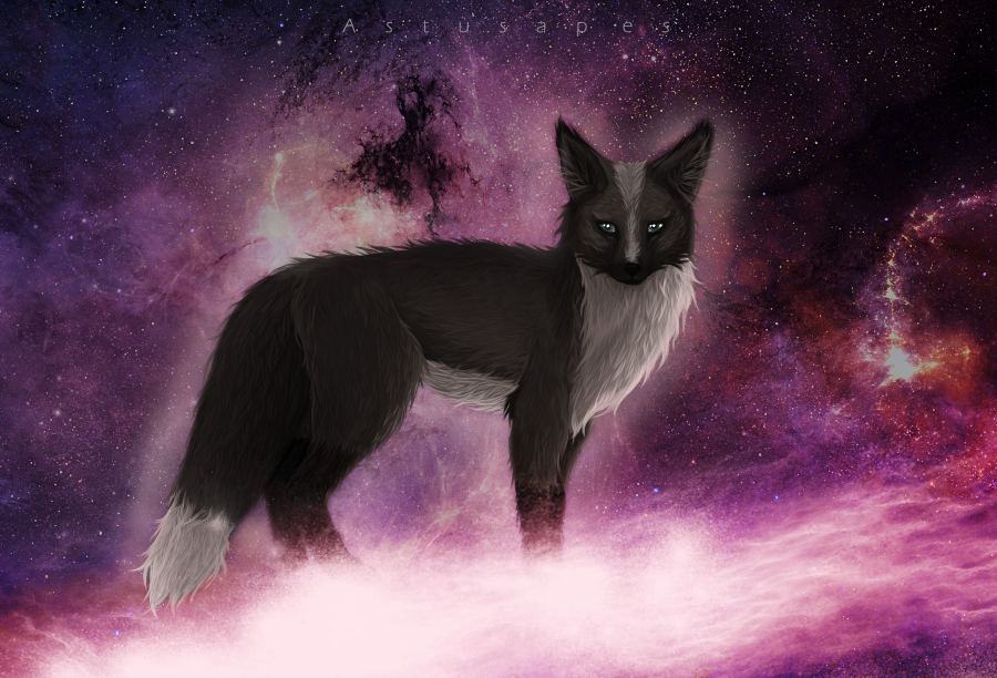 Alpheus Pyxhae, my fox character