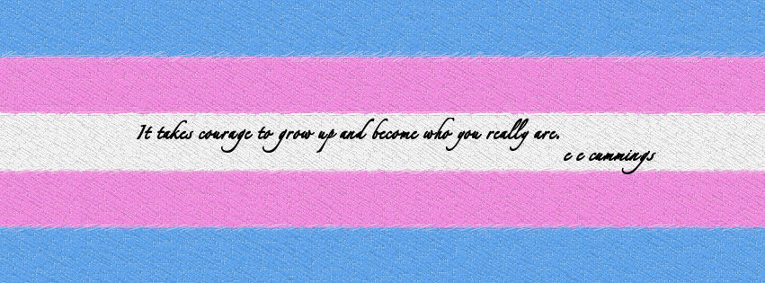 Facebook Cover Transgender Flag by kabit on DeviantArt