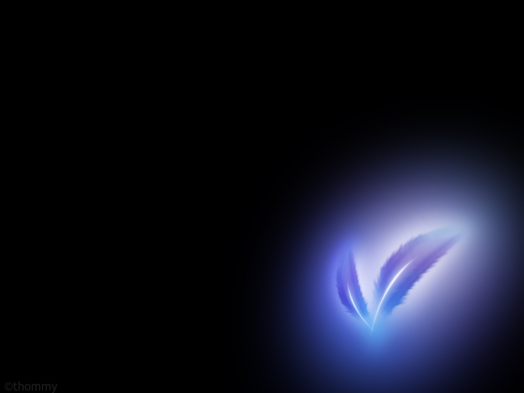 feather wallpaper v2