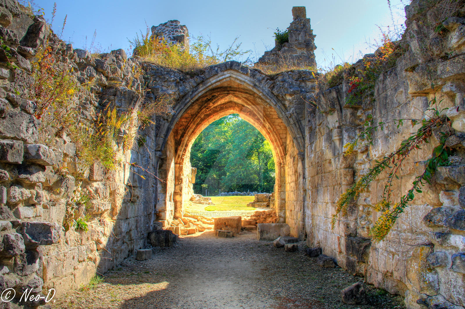 Abbey Vauclair's ruins