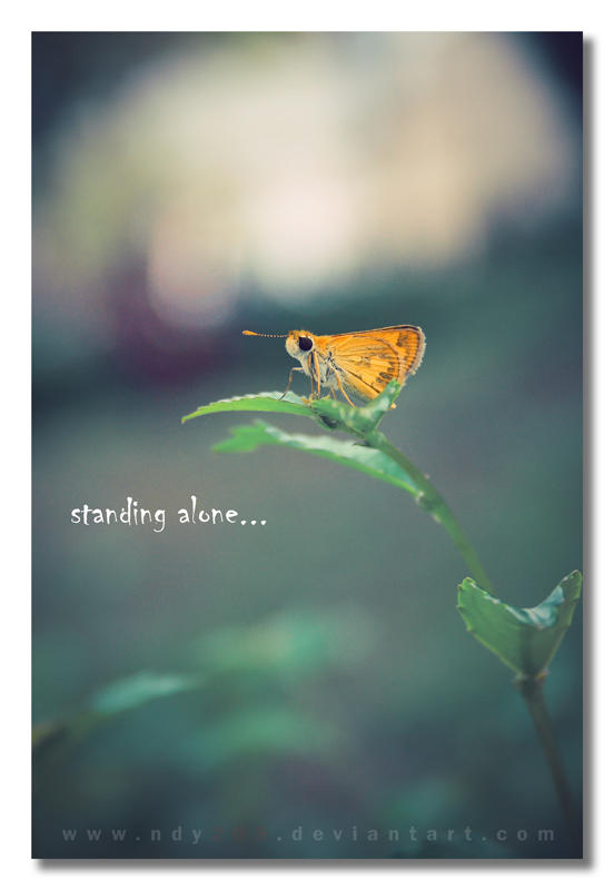 Standing Alone...