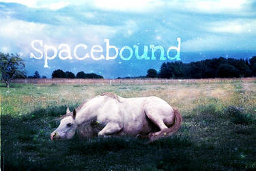 Spacebound