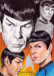 Spock - Old and New