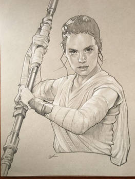 Rey 11x14