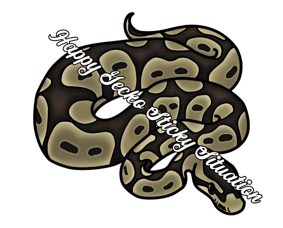 Normal Ball Python by beachgecko on DeviantArt