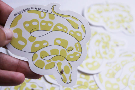 Albino Ball Python stock by beachgecko on DeviantArt