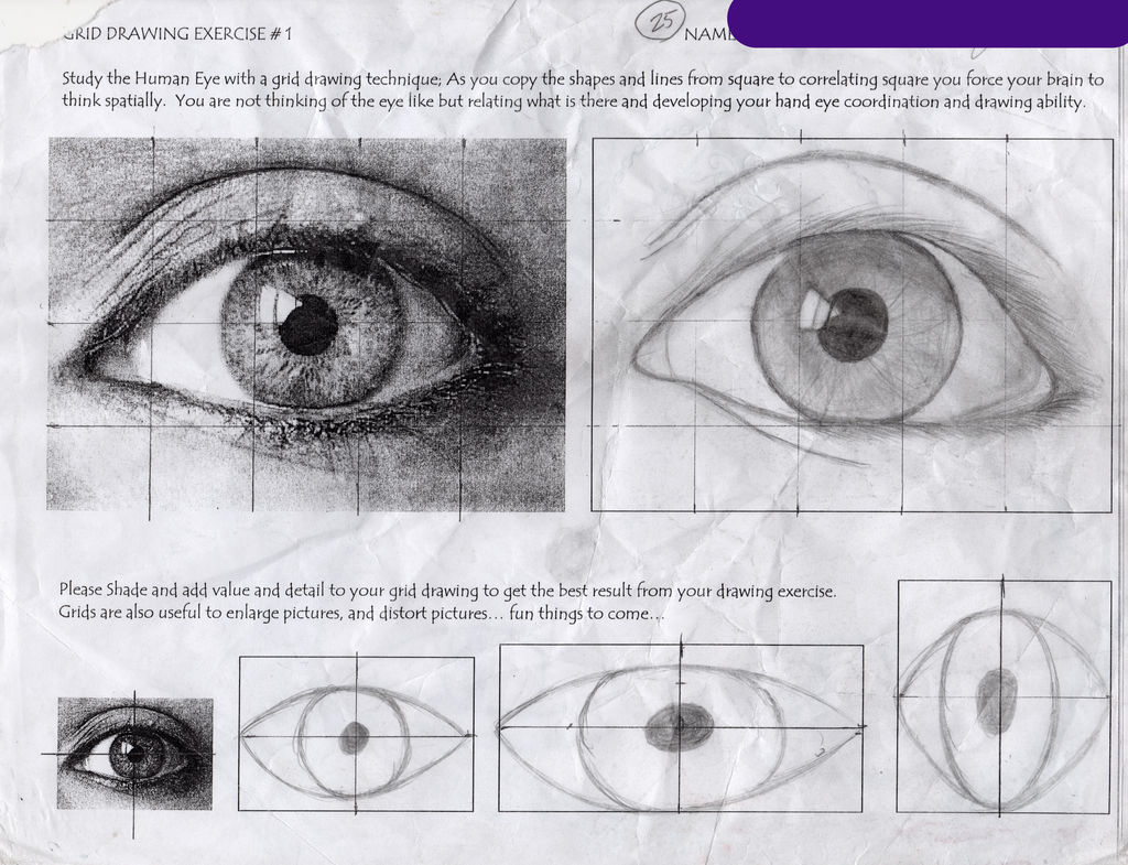 Eye Grid Drawing Tutorial Grid/Eye Study by MelodyTheFandom on DeviantArt