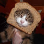 BreadHead