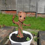 Potted Groot