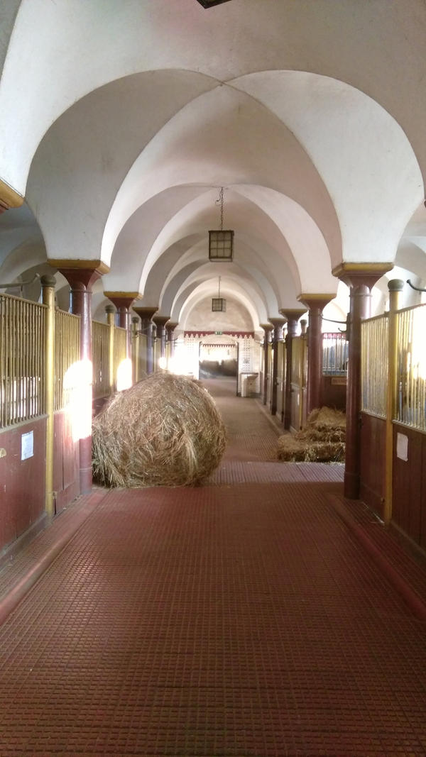 Ksiaz Stable rooms