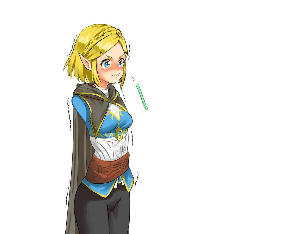 Zelda noble pursuit