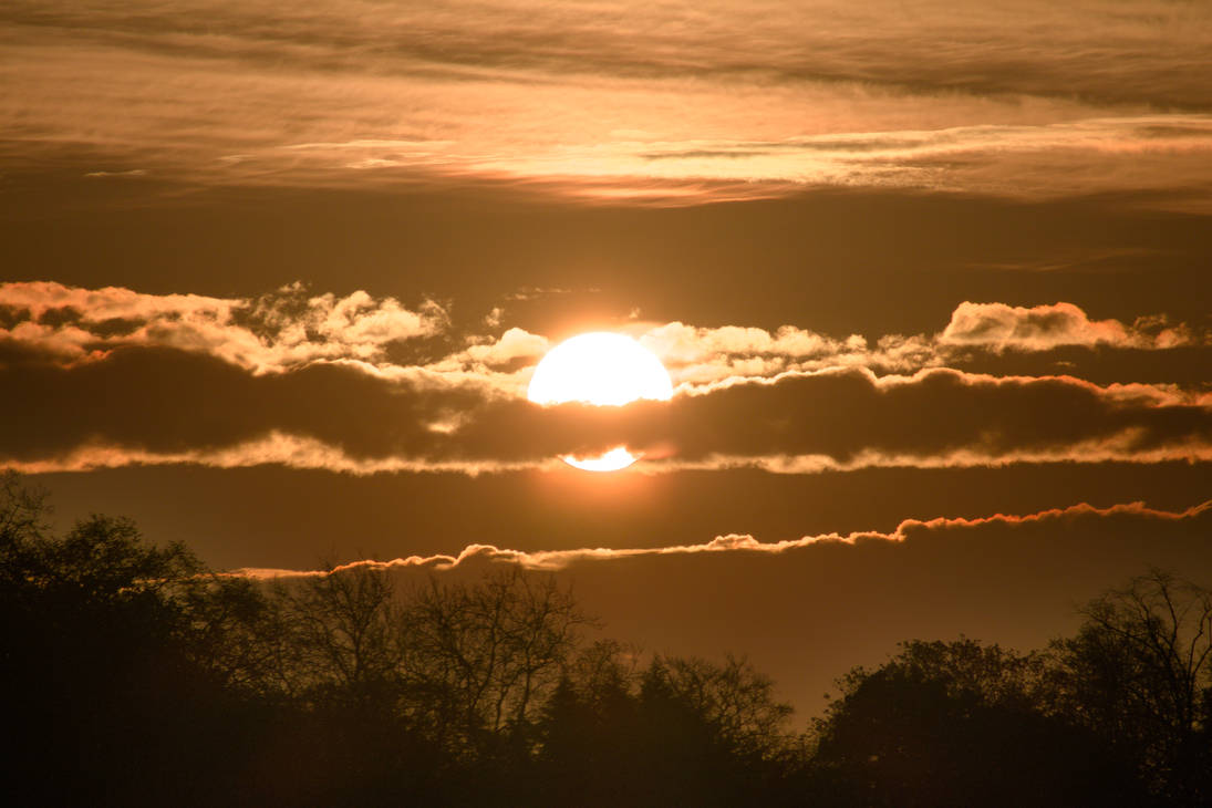 phryk-ii - Hobbyist | DeviantArt