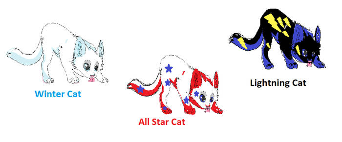 Cat Adoptables