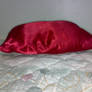 Red Pillow 1