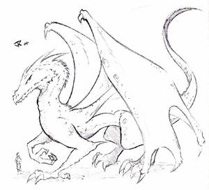 Dragon Sketch