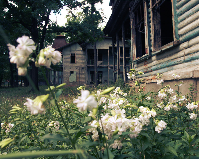 Abandoned houses