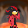 Team Magma Leader: Shadow