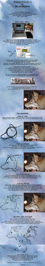 Wolf Drawing Tutorial