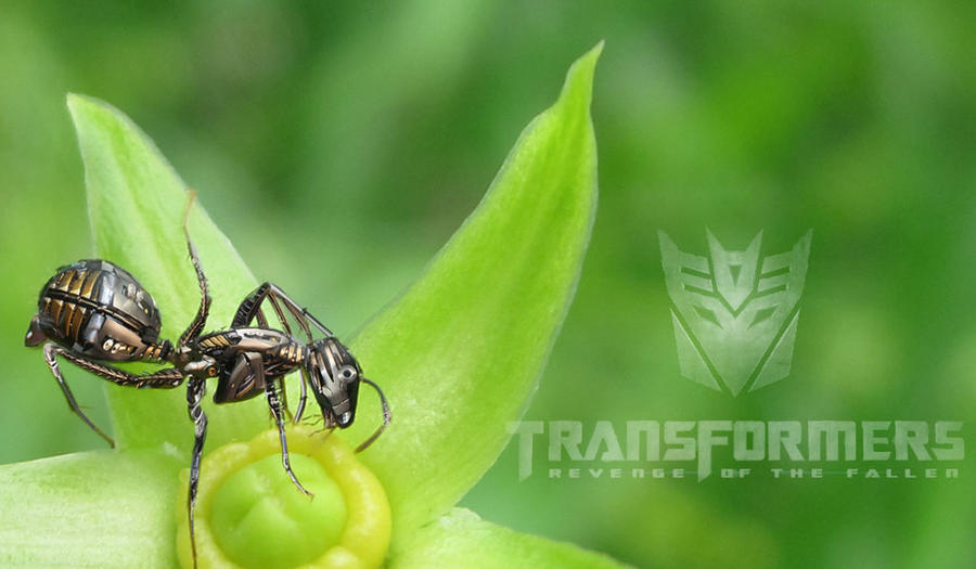 Deviantart Robot Insect robotic insect by preritjain on DeviantArt