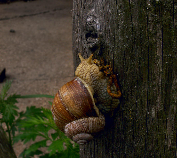 fear-ridden by Sauull on DeviantArt