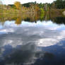 Pond Painting