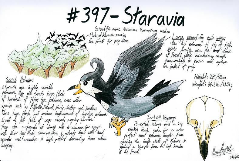 Staravia- Investigation