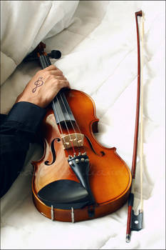 The Violinist