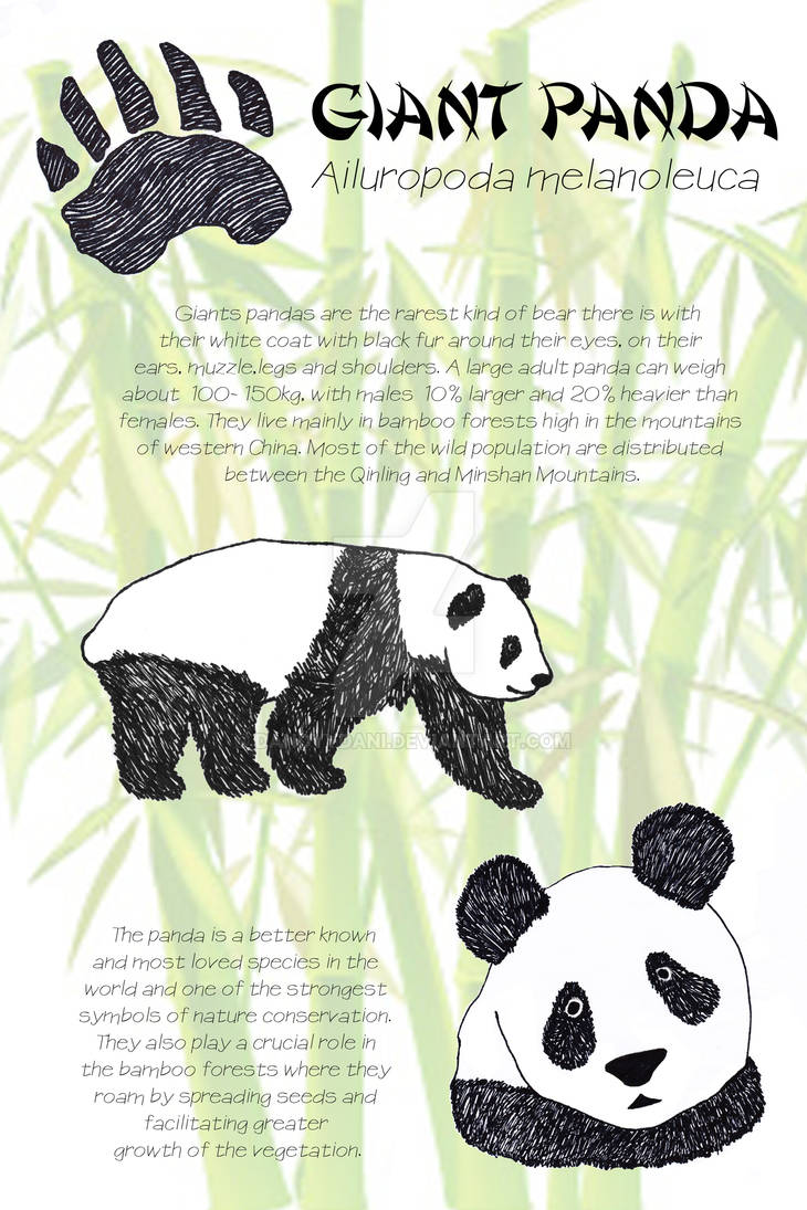 Endangered Species Poster By Dandyydani On Deviantart Endangered Species Poster By Dandyydani On Deviantart
