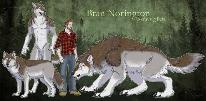 Bran Norington