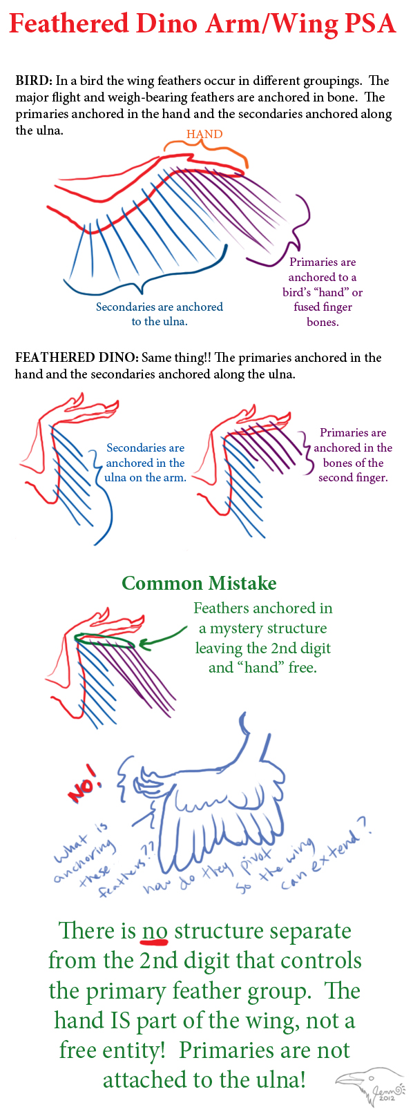 Feathered Dino Arm/Wing PSA